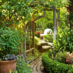 Transforming-Your-Backyard-into-a-Garden-Oasis-Tips-and-Ideas.png