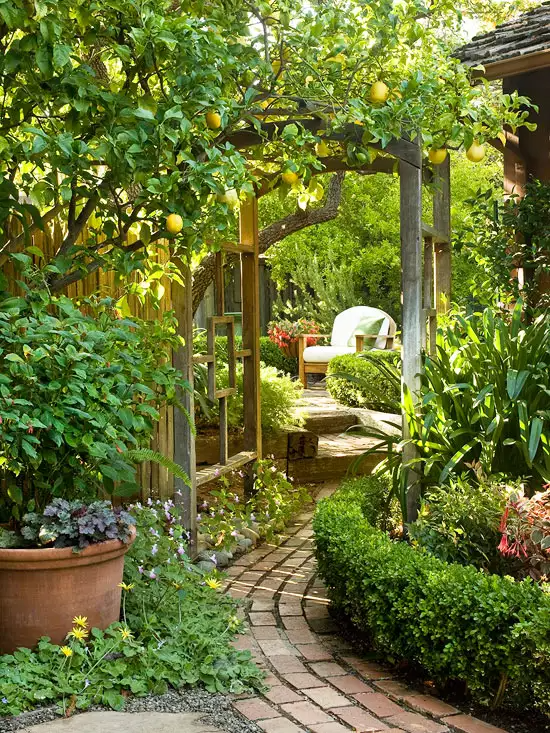 Transforming Your Backyard into a Garden
Oasis: Tips and Ideas for Creating a Lush Outdoor Retreat