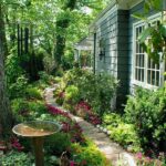 backyard garden