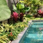 tropical landscape design backyard