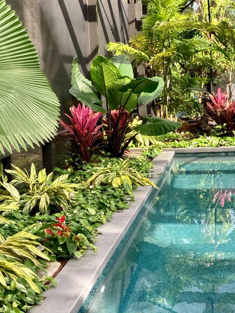 Transforming Your Backyard with Stunning
Tropical Landscape Design