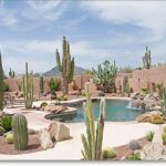 backyard design desert