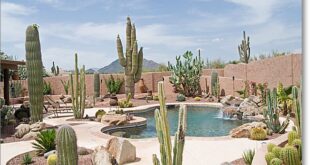 backyard design desert