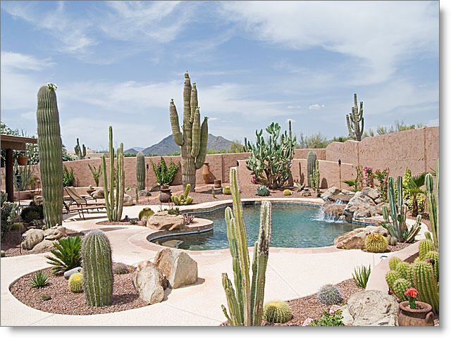 Transforming Your Desert Backyard into a
Oasis: Design Tips for a Stylish Outdoor Space