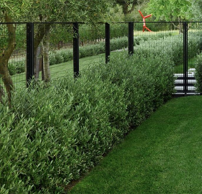 Transforming Your Outdoor Space: How to
Choose the Perfect Backyard Design Fence