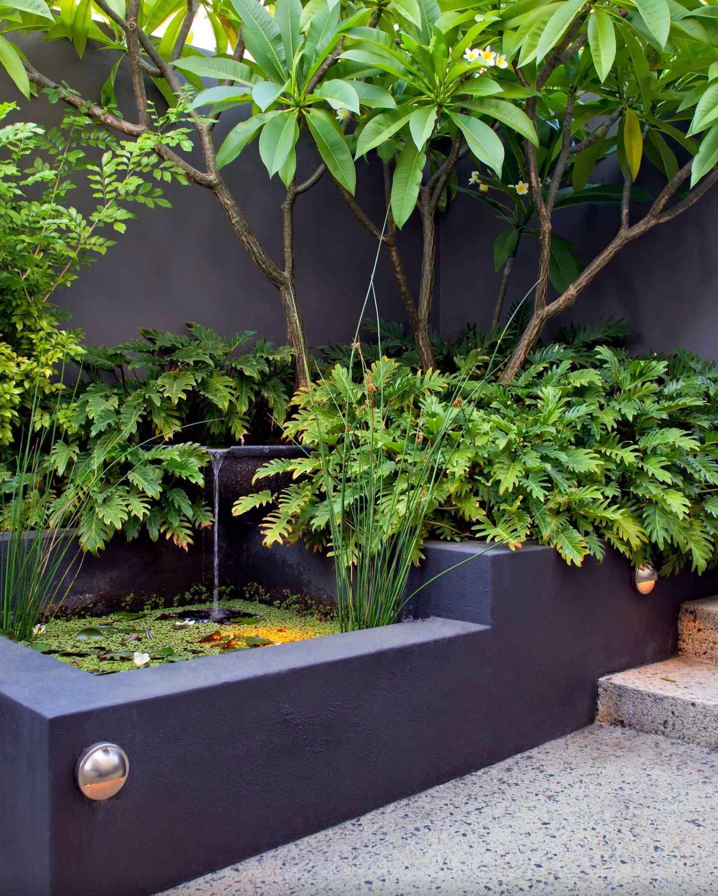 Transforming Your Outdoor Space: The
Beauty of Backyard Design Render