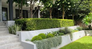 sloped backyard landscaping