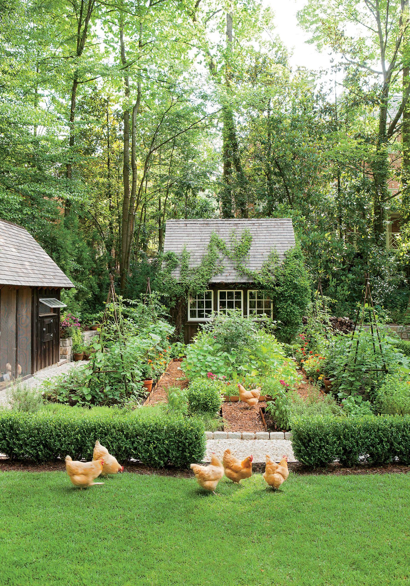 Unleashing the Beauty of Your Backyard:
Tips for Creating a Stunning Garden