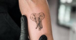 tattoo elephant