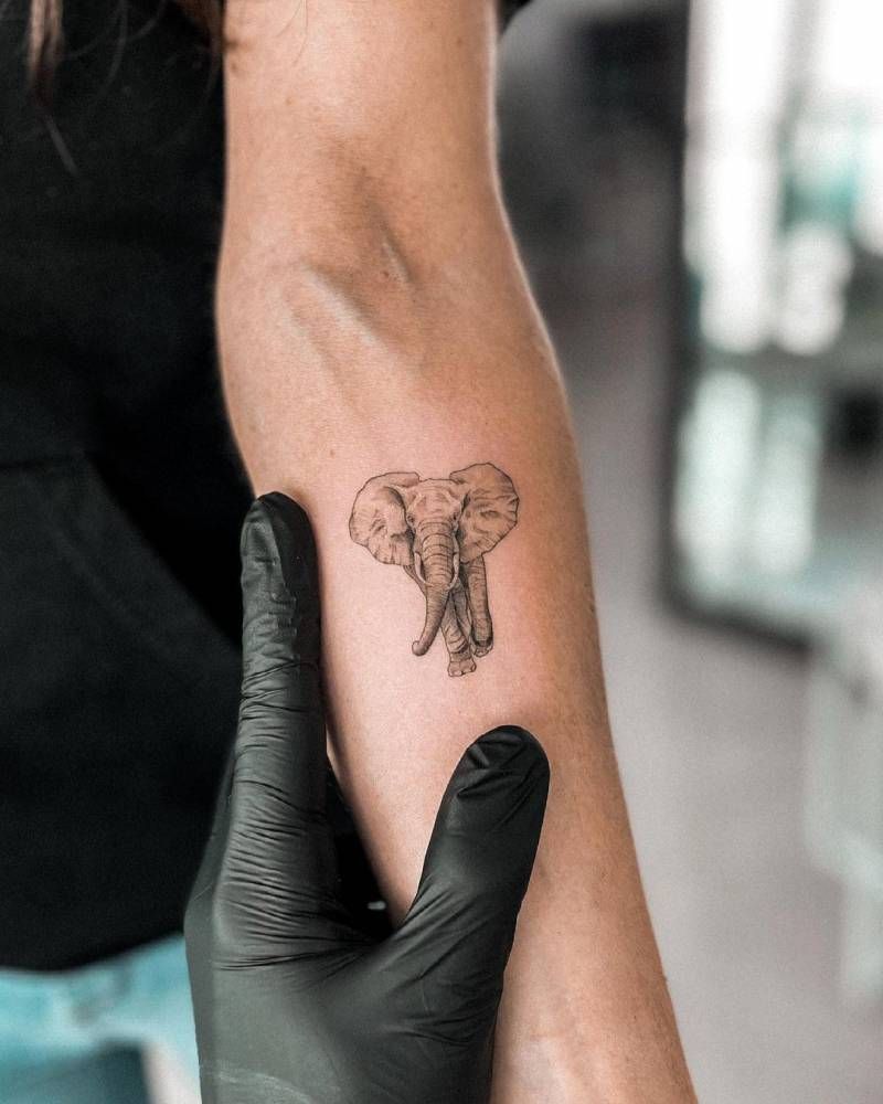 The Majestic Beauty of Elephant Tattoos: Symbolism and Designs