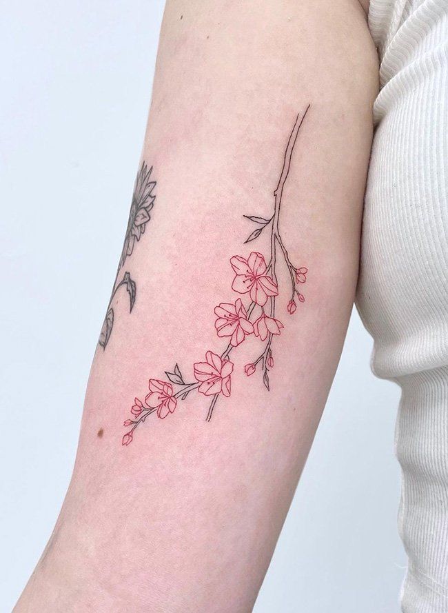 Exploring Fine Line Tattoo Ideas: Minimalist Ink Inspiration