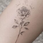 rose tattoo