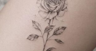 rose tattoo