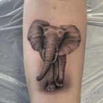 tattoo elephant