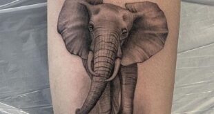 tattoo elephant