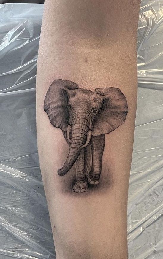 tattoo elephant