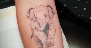 tattoo elephant