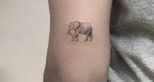 tattoo elephant