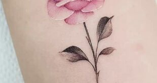 tattoo rose