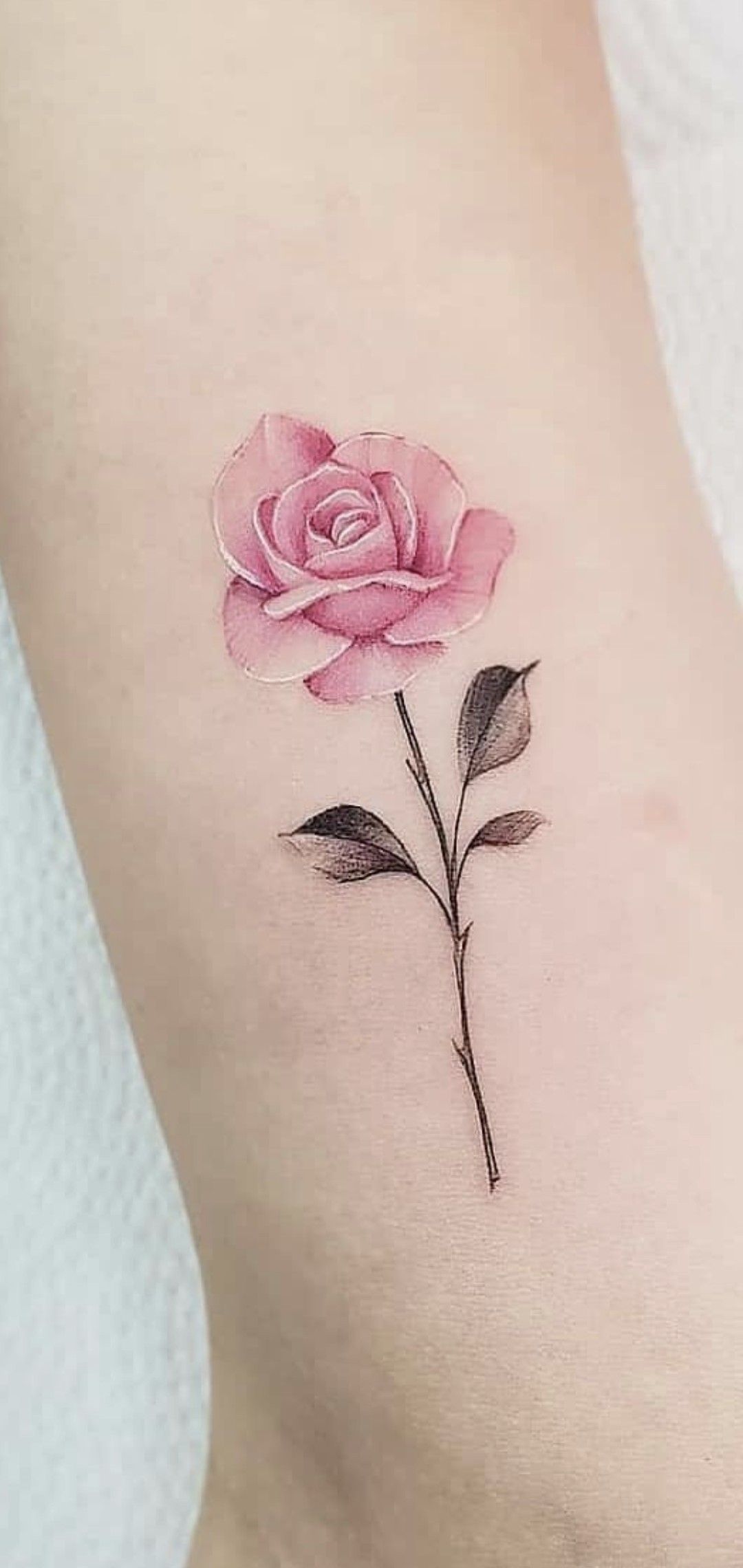 tattoo rose