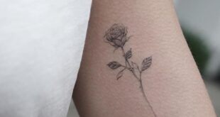 rose tattoo