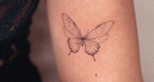 butterfly tattoo