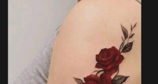 rose tattoo