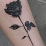 rose tattoo