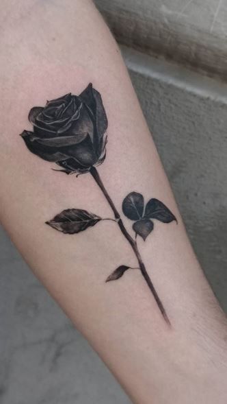 rose tattoo