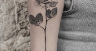 rose tattoo