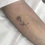 rose tattoo