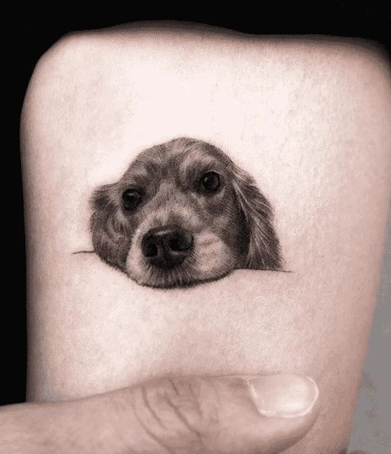 Creative Dog Tattoo Ideas to Honor Your Furry Friend