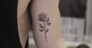 rose tattoo