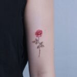 rose tattoo