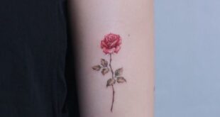 rose tattoo