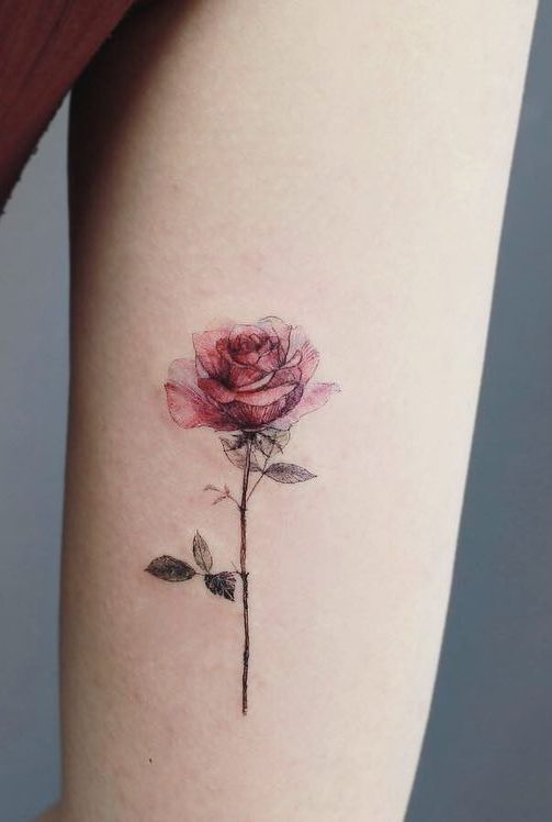 The Symbolism and Beauty of the Tattoo Rose