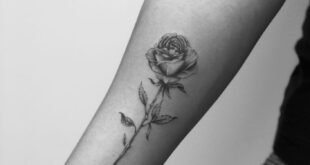 rose tattoo