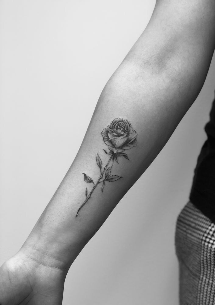 rose tattoo