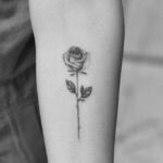 rose tattoo