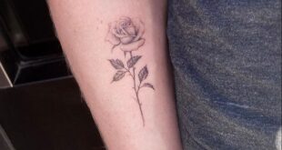 rose tattoo