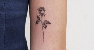 rose tattoo