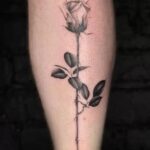 rose tattoo