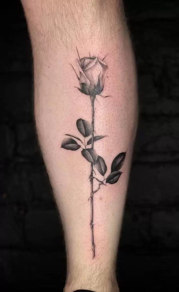 rose tattoo