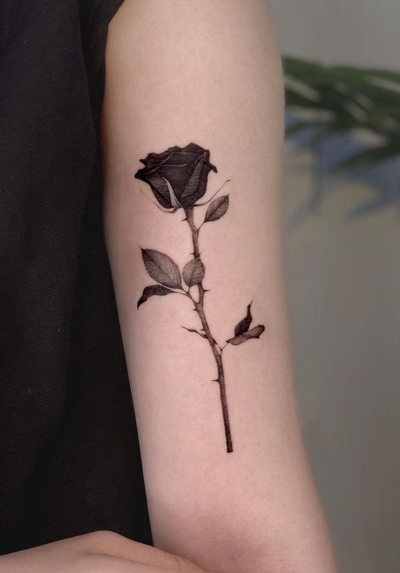 tattoo rose