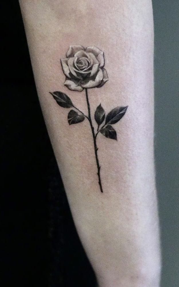 tattoo rose