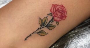 rose tattoo