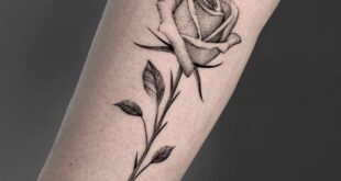 rose tattoo