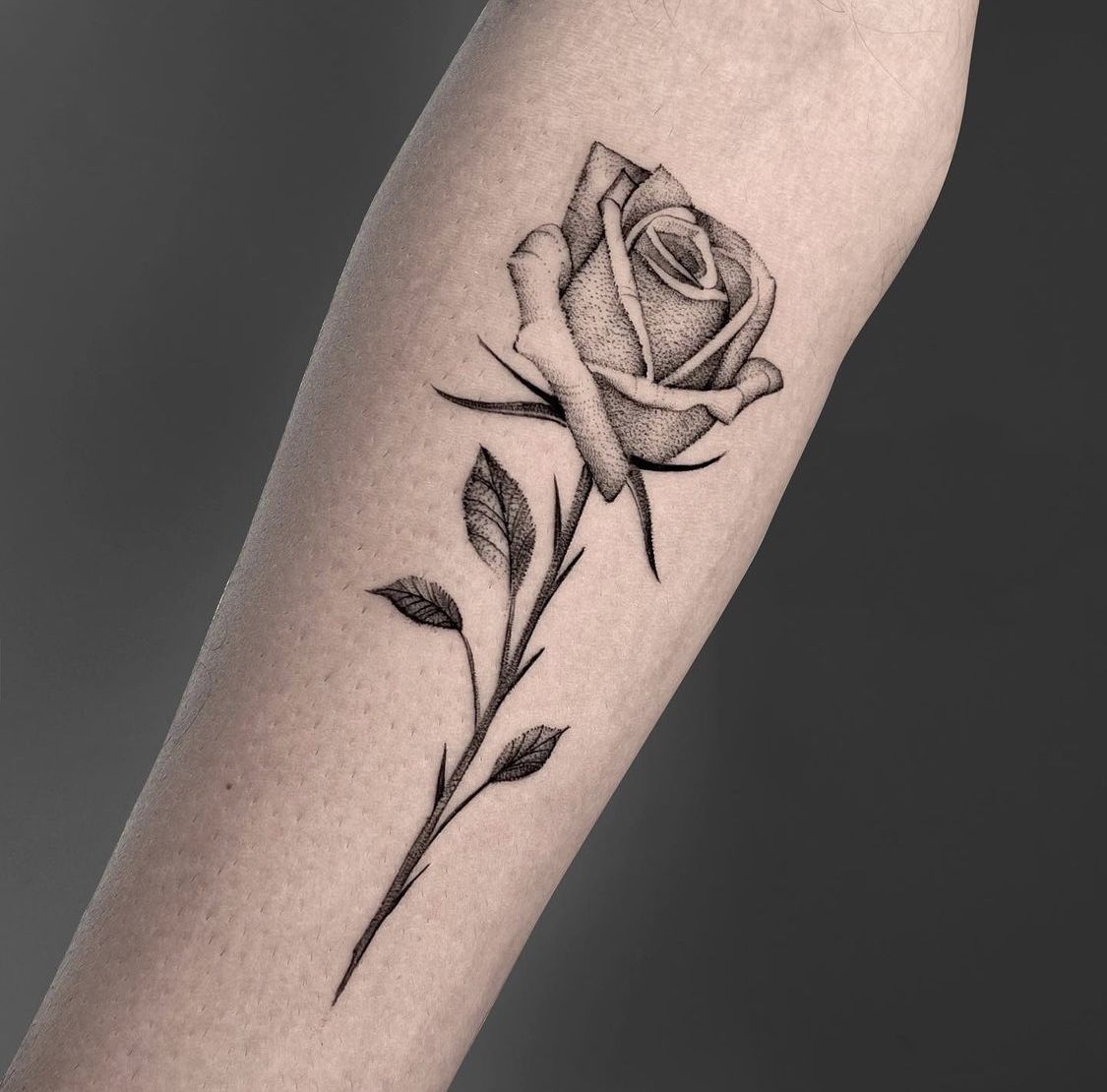 rose tattoo