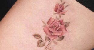 rose tattoo