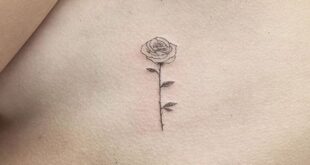 rose tattoo